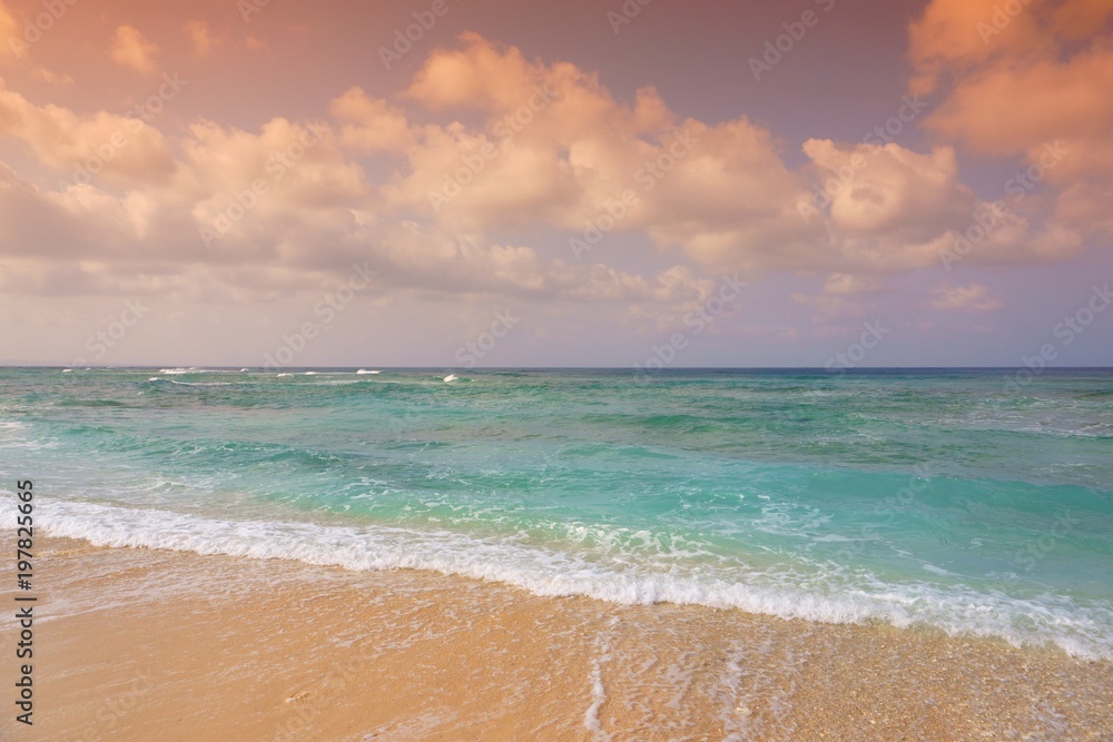 Beach Pacific Ocean