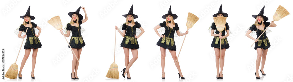 Witch isolated on the white background Witch isolated on the white background