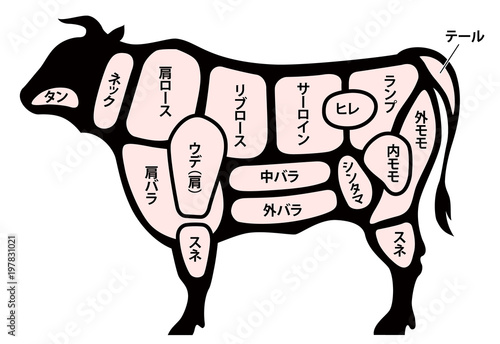 牛肉　ビーフ　部位　白背景