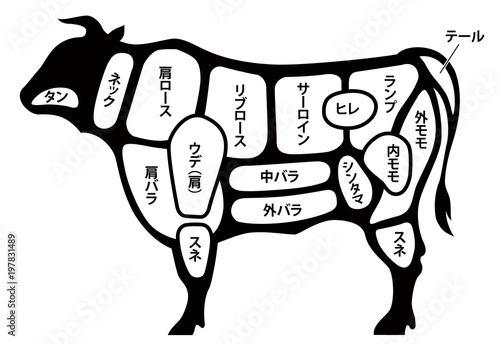 牛肉　ビーフ　部位　白背景