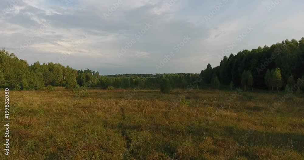 Aerial view flight over a green meadow among a large pine forest, Central Europe Ukraine Aerial view flight over a green meadow among a large pine forest, Central Europe Ukraine