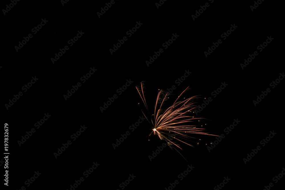 Naklejka premium The lights of the fireworks in the night sky.