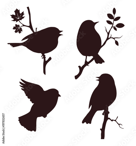 Decorative set of birds sitting on twig of tree. Vector silhouette