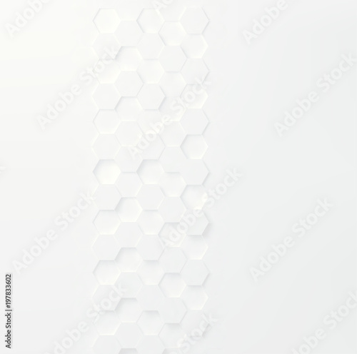 White geometric decorative element, hexagonal line background, vector pattern