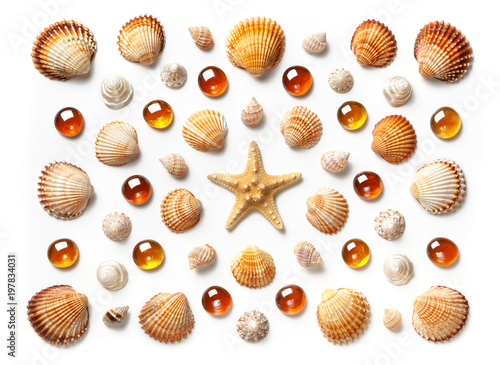 Pattern made of shells, starfish and orange glass beads isolated on white background
