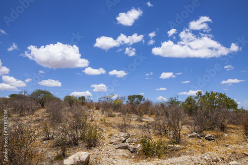 Tsavo West National Park in Kenya