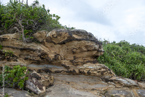 小浜島の岩