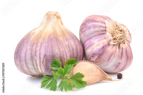 Garlic on a background