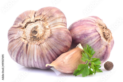 Garlic on a white background
