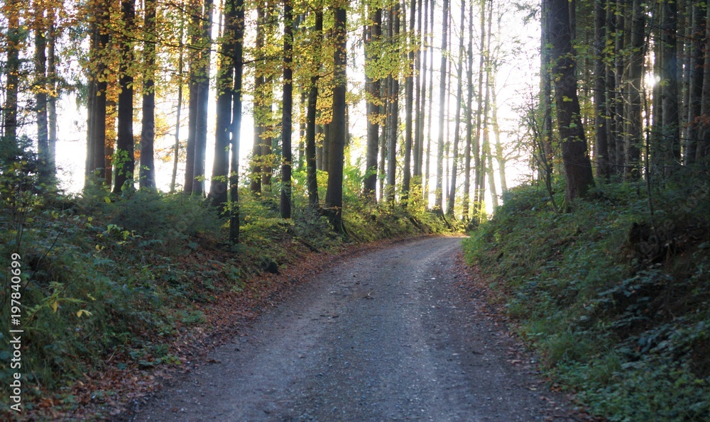 Obraz premium Straße