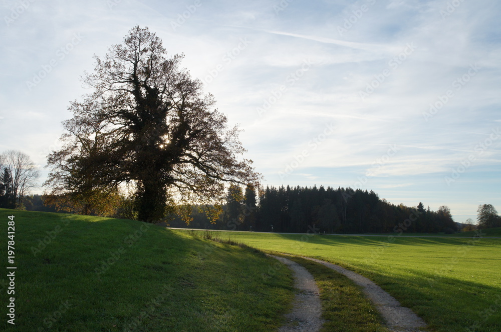 Feldweg