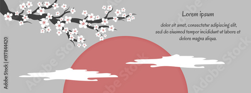 Sakura cherry blossoms on a red sun with text. White cherry flower blossom branch, peach bloom, sakura branch. Blooming Asian nature. Vector illustration.