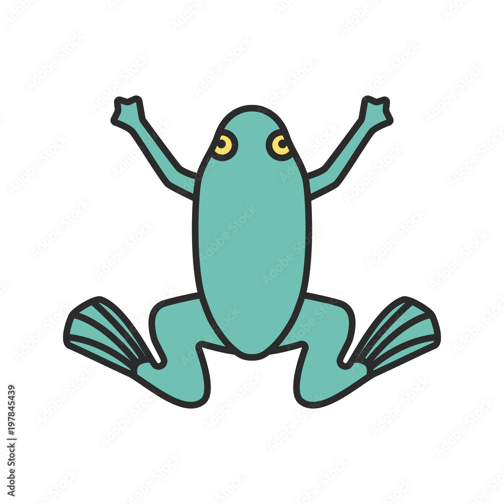 Fototapeta premium Frog color icon