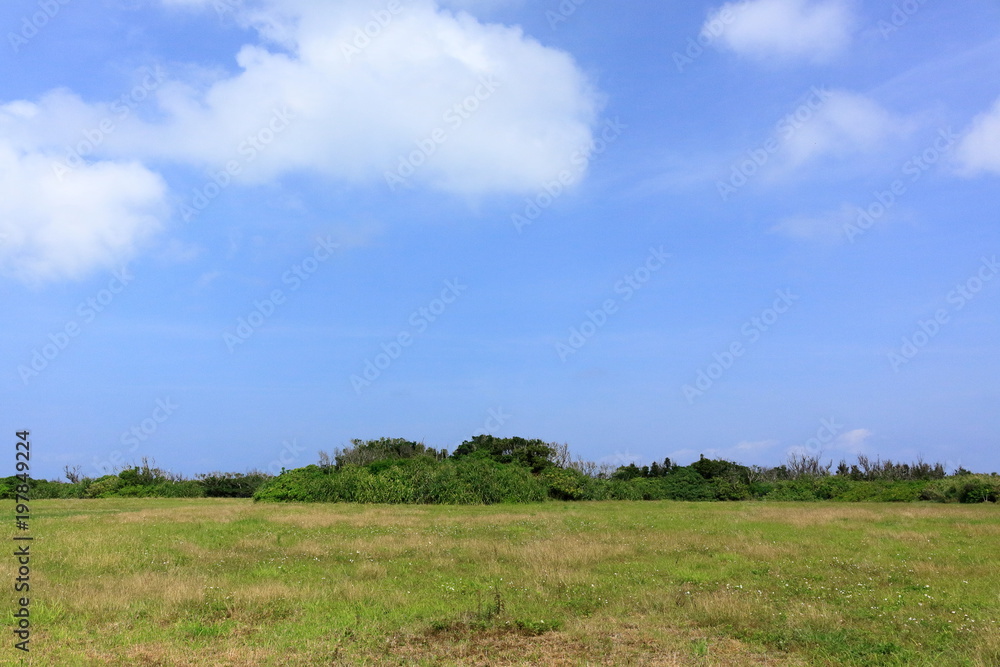 久高島の草原