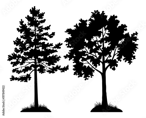 Set of Silhouette Forest Trees, Pine and Maple, Black Pictogram Elements Isolated on White Background for your Design. Vector