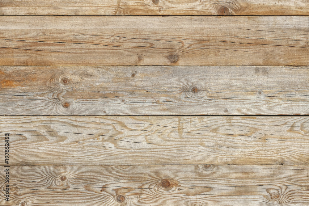 Naklejka premium Old pine aged weathered distressed faded grunge plank barn wall wood background texture photo
