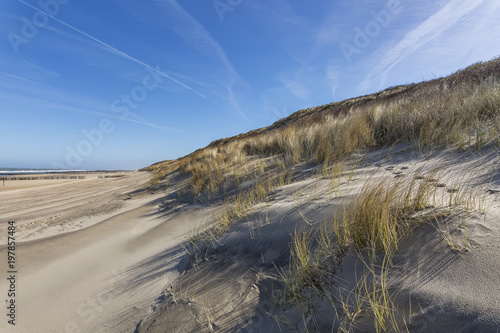 Wind at Domburg Beach has straightened the Sand in the Grass Dunes   Netherlands