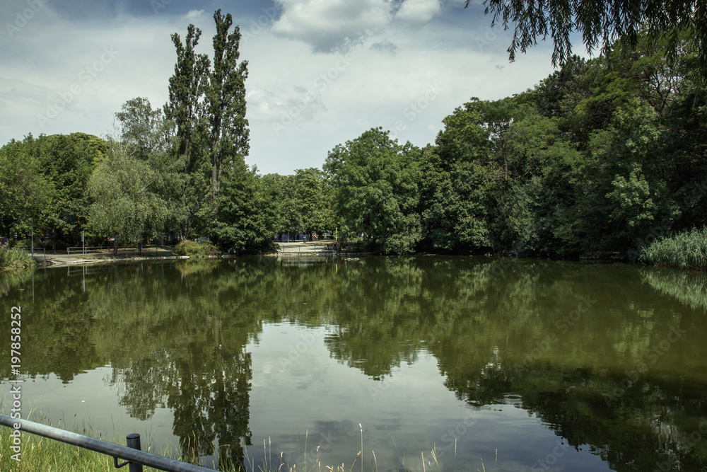 Fototapeta premium pond in a park with reflection