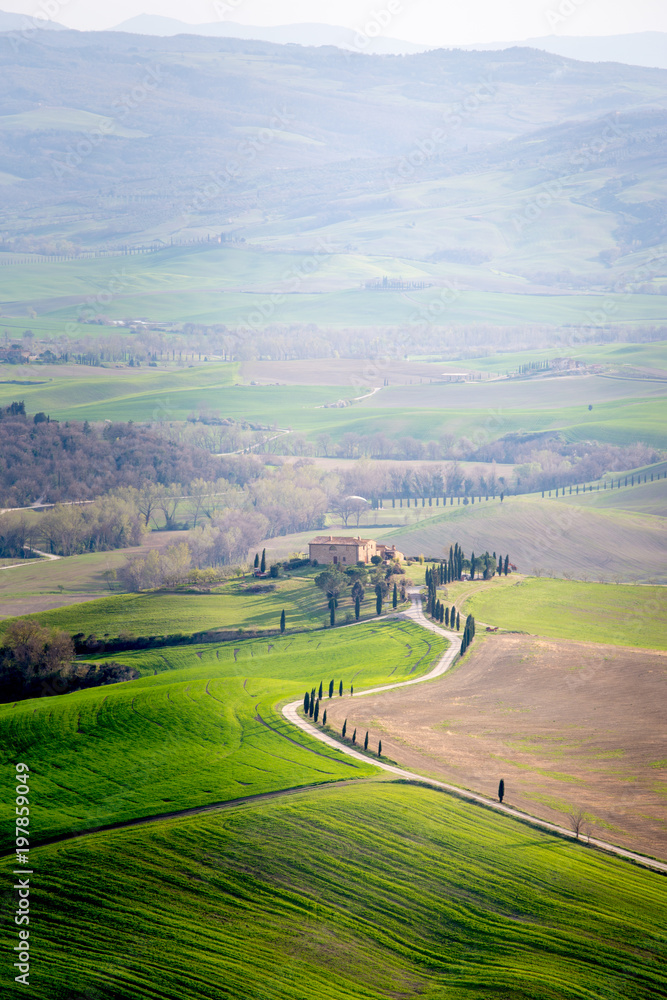 Tuscany, Val d'Orcia rolling hills with cypress trees