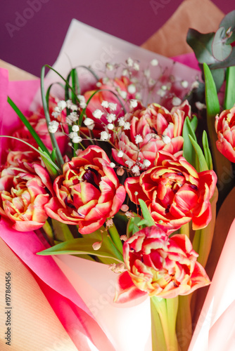 Beautiful pastel red-pink peonies flowers on white background, front view. Floral border or Layout or greeting card for Mothers day, wedding or happy event photo