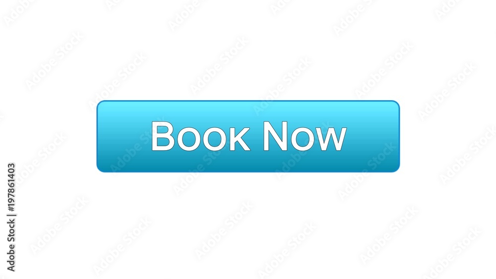 Book now web interface button blue color, flight ticket online, reservation Book now web interface button blue color, flight ticket online, reservation