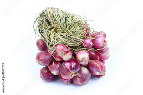Onion isolated food vegetable on white background 