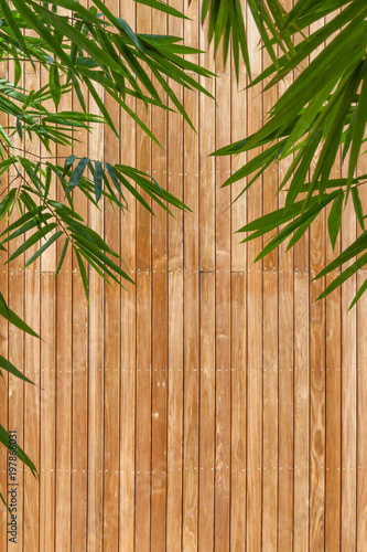 Wooden background and texture with green bamboo leaf in foreground  garden decoration concept