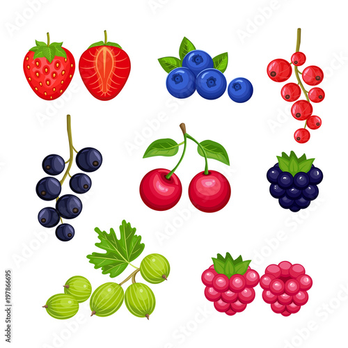  Set of fresh berries  isolated on white background. Strawberry  blueberry  currant  cherry  raspberry  BlackBerry  gooseberry. Vector colorful icons.