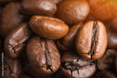 Coffee beans. Super Macro