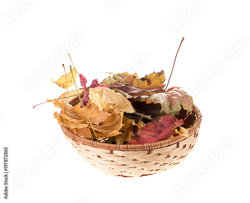 Composition of autumn leaves.