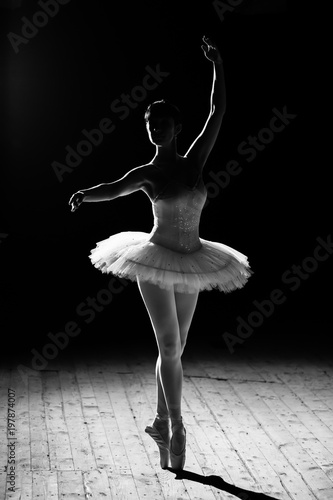Fototapeta Naklejka Na Ścianę i Meble -  Young beautiful ballerina posing on stage