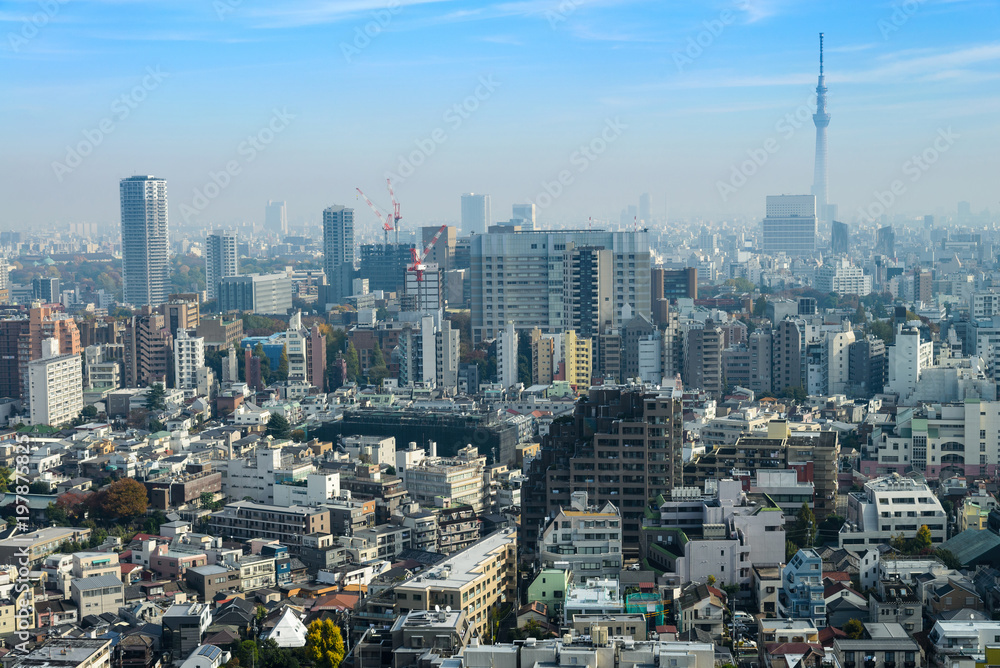 Cityscapes of tokyo in Fog after rain in winter season, Skyline of Bunkyo ward, Tokyo, Japan, Tokyo is the world's most populous metropolis and is described as command centers for world economy.