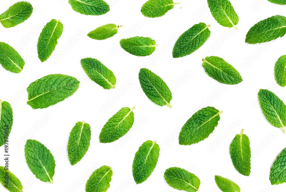Fresh mint leaves pattern isolated on white background, flat lay. Macro. Fresh mint leaves pattern isolated on white background, flat lay. Macro.