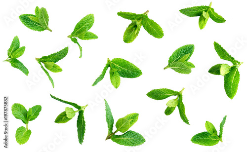 Fresh mint leaves pattern isolated on white background, top view
