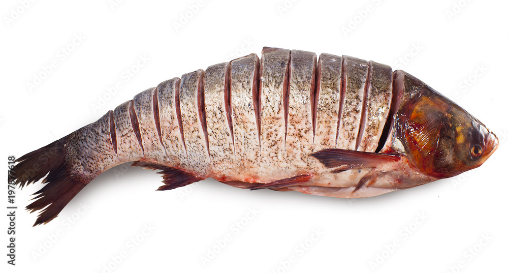 White salmon cut into steaks. Inconnu. White salmon cut into steaks. Inconnu.