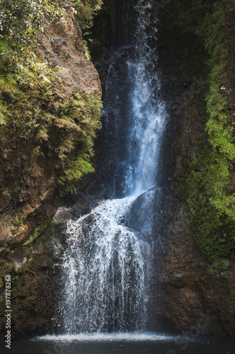 Beautiful waterfall in the rainforest