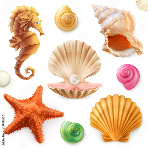 Shell, snail, mollusk, starfish, sea horse. 3d icon set