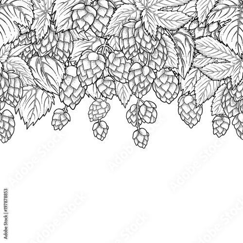 Graphic hop design