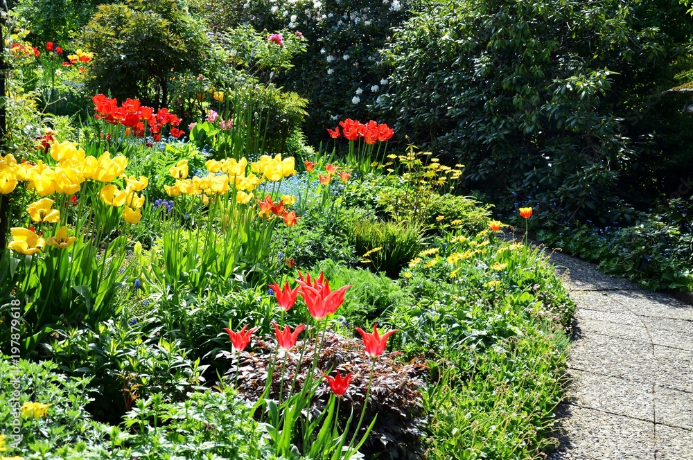 Gartenanlage mit Tulpen Gartenanlage mit Tulpen