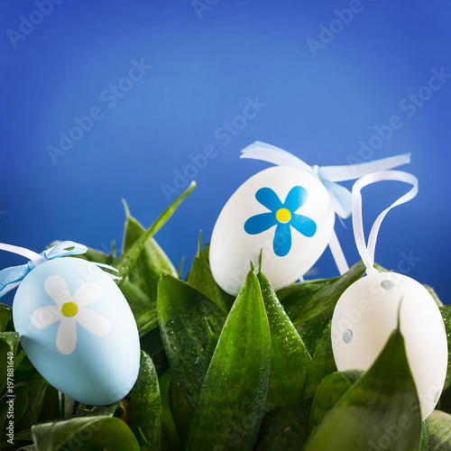 Multicolored easter eggs on green leaves. Copy space. Blue background. photo