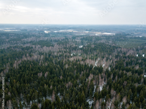 drone image. aerial view of rural area with forest road in winter