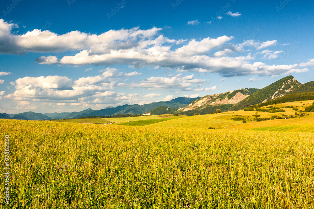Fields and meadows in rural landscape with mountains at spring period.