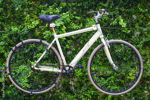 Bicycle decorate with green leaf background