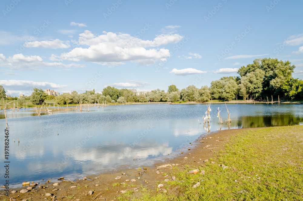 Fototapeta premium Summer lake panorama 