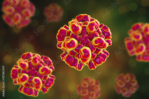 Hepatitis E virus molecular model, 3D illustration, non-enveloped RNA virus with fecal-oral transmission route, the causative agent of hepatitis