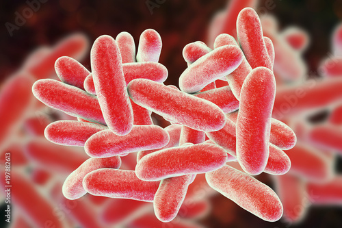 Obraz na plátně Legionella pneumophila bacteria, 3D illustration, the causative agent of Legionn