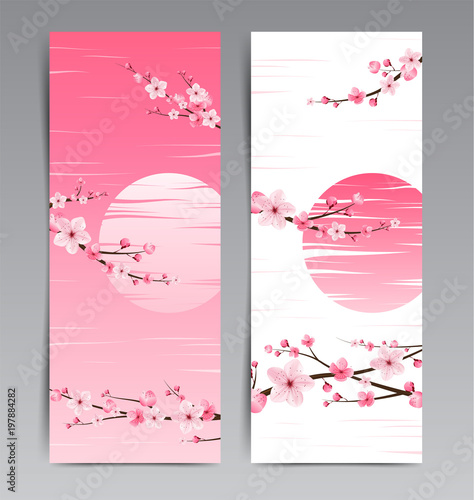  cherry blossom collection , greeting cards , seamless texture , japanese floral pattern
