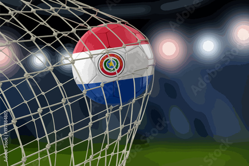 Paraguayan soccerball in net