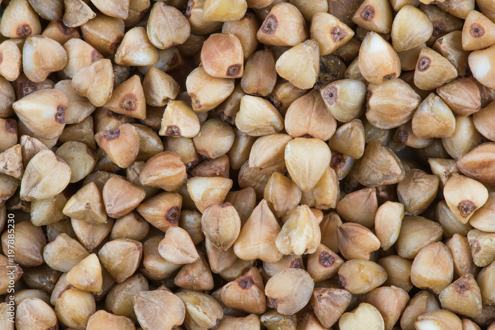 The buckwheat seeds` texture or background. The macro shot is made by means of stacking technology The buckwheat seeds` texture or background. The macro shot is made by means of stacking technology