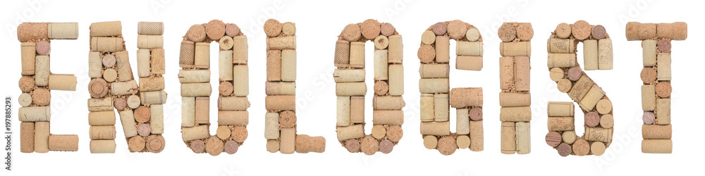 Word Enologist  made of wine corks Isolated on white background